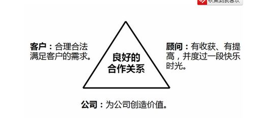 金融測試與企業信息咨詢服務 風險防范與決策支持的協同力量